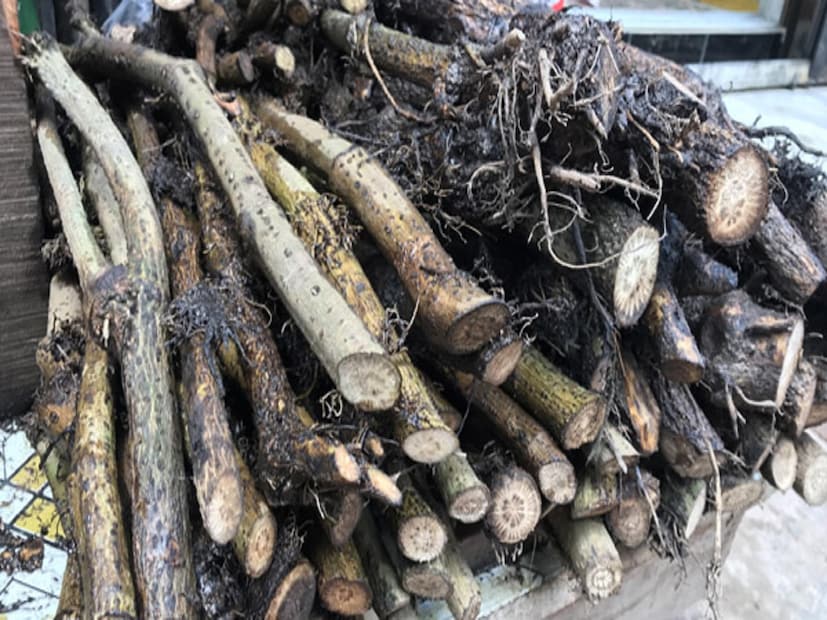 কবিগুরু রবীন্দ্রনাথ ঠাকুর লঙ্কার ঝাল খেতে পারতেন না। এদিকে বেশিরভাগ তরকারিতে ঝাল না দিলে স্বাদ‌ই হয় না। এই গুরুতর সমস্যা থেকে বিশ্বকবিকে বাঁচিয়েছিল চুইঝাল। বাংলাদেশের রান্নায় অত্যন্ত জনপ্রিয় এই মশলা। নামটি কিছুটা অদ্ভুত, চুইঝাল, অনেকে চই ঝালও বলেন। (Disclaimer: এই প্রতিবেদনটি কেবলমাত্র সাধারণ তথ্যের জন্য, তাই বিস্তারিত জানতে হলে সর্বদা বিশেষজ্ঞের পরামর্শ নিন।) 