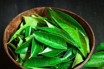 ‘কারি পাতা’-তে ম্যাজিক! রোজ চিবিয়ে খেলে চাঙ্গা হবে শরীর, পুরুষের স্ফুর্তি হবে