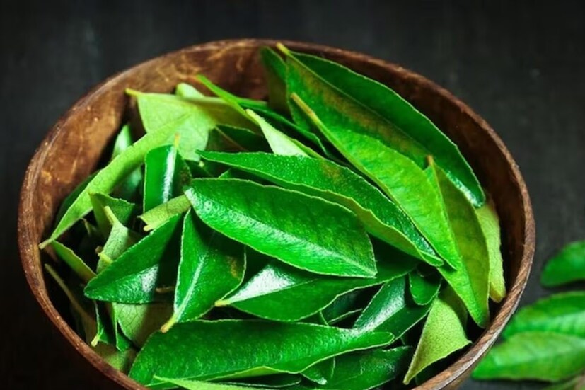 কারি পাতা সবার রান্নাঘরে সহজেই পাওয়া যায়। এটি প্রতিদিন চিবিয়ে খেলে আপনার দৃষ্টিশক্তি অনেকাংশে উন্নত হয়। প্রতিদিন চোখ ধোয়ার পর এটি খেতে হবে। কারি পাতা সবার রান্নাঘরে সহজেই পাওয়া যায়। এটি প্রতিদিন চিবিয়ে খেলে আপনার দৃষ্টিশক্তি অনেকাংশে উন্নত হয়। প্রতিদিন চোখ ধোয়ার পর এটি খেতে হবে।