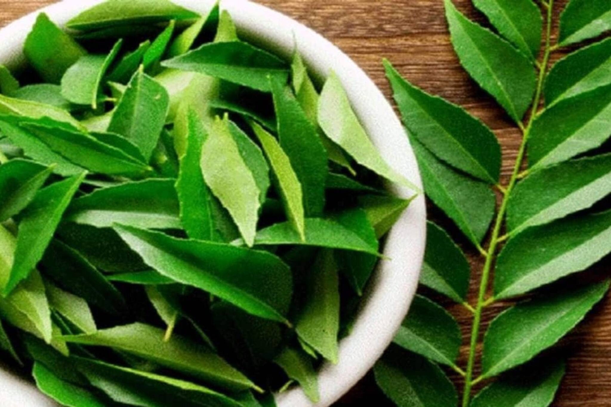 ডায়াবেটিসের যম, হজমশক্তিকে কার্যকরী করতে এই পাতা মোক্ষম, কিন্তু কীভাবে খাবেন