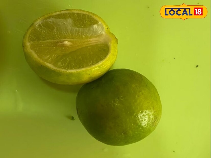 শীতকালে এমনিও তেঁতুল, কদবেল, জলপাইয়ের আচার খেতে বেশ ভালই লাগে কিন্তু সব বাড়িতে সবসময় তো আর পাওয়া যায় না। তবে একটু বেশি করে ধনেপাতার চাটনি বাড়িতে বানিয়ে রাখতে পারেন। কীভাবে বানাবেন জেনে নিন