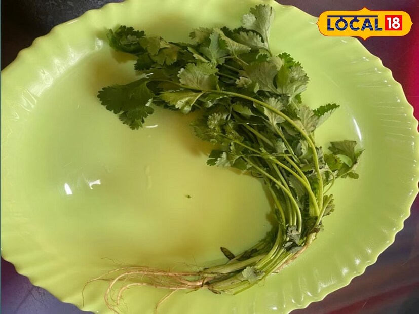 প্রথমেই একটু বেশি পরিমাণে ধনেপাতা নিয়ে নিতে হবে। সঙ্গে লাগবে রসুন, আদা, কাঁচা লংকা, লেবুর রস , বীট লবন , লবণ ছাড়া এগুলি সব ভালো করে ধুয়ে নিতে হবে।