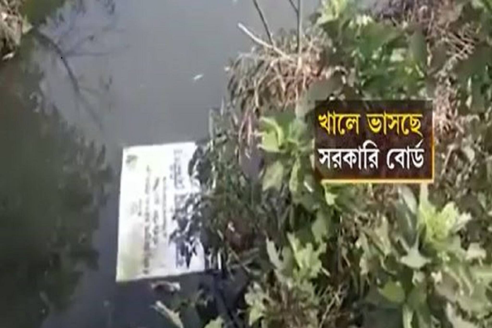 খালে ভাসছে সরকারি বোর্ড! রাতের অন্ধকারে কারা এই ঘটনা ঘটাল?
