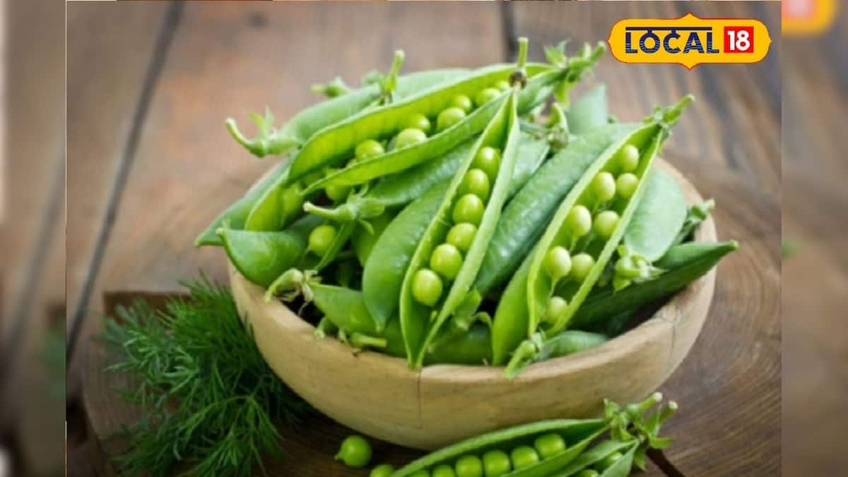 Green pea side effects শীতে সব রান্নাতেই চ খাচ্ছেন? এই ৪ রোগ থাকলে