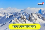 Knowledge Story: বরফের রং সাদা হয় কেন? উত্তর জানেন না অনেকেই