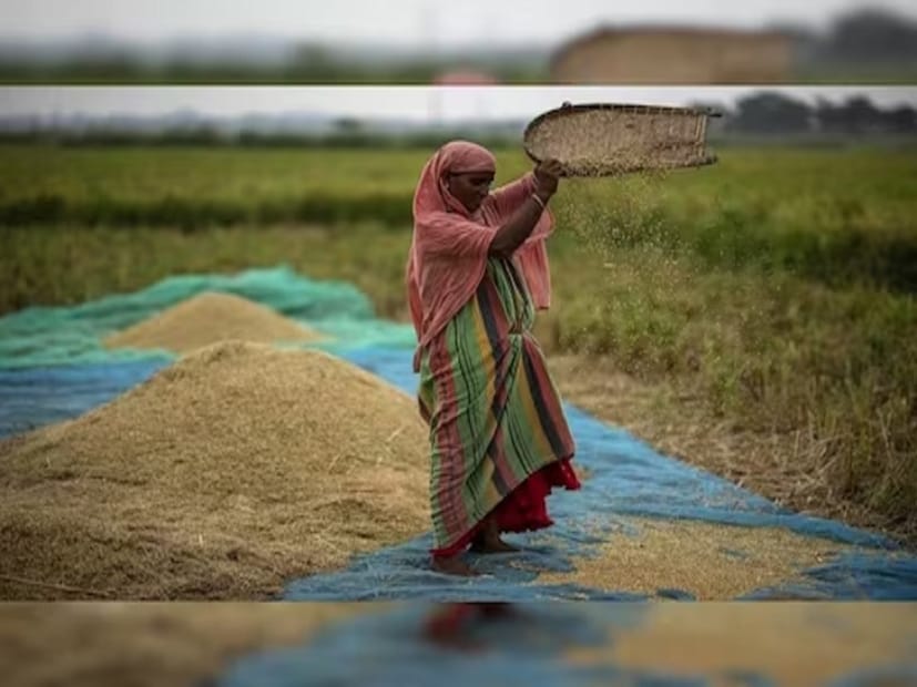 এবারের অন্তর্বর্তী বাজেটে মহিলাদের উপর থাকবে বড় ফোকাস ৷ সূত্রের খবর অনুযায়ী, এবারের বাজেটে মহিলা কৃষকদের জন্য পিএম কিষান সম্মান নিধি যোজনার টাকা দ্বিগুণ হতে পারে ৷ শুধু তাই নয়, ১ শতাংশ সস্তায় লোন পেতে পারেন মহিলা কৃষকরা ৷ 