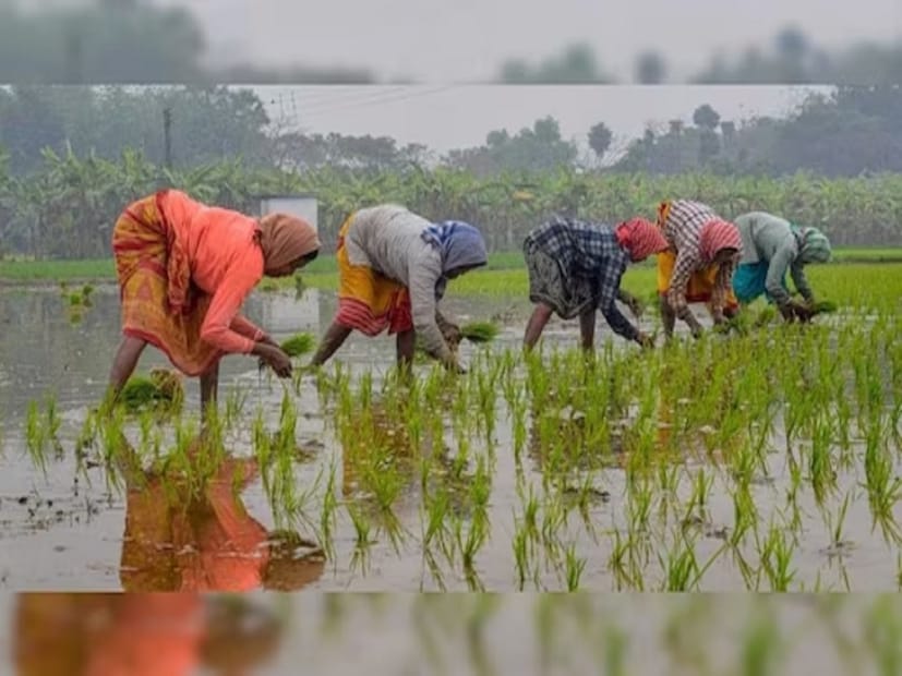 অনুমান করা হচ্ছে প্রধানমন্ত্রী কিষান সম্মান নিধি যোজনার টাকা পুরুষদের ক্ষেত্রে বাড়িয়ে ৯০০০ হতে পারে ৷ মহিলাদের ক্ষেত্রে যোজনার টাকা দ্বিগুণ হয়ে ১২ হাজার হতে পারে ৷ 