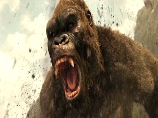 'কিং কং' সিনেমায় অনেকেই দেখেছেন
(প্রতীকী ছবি) 'কিং কং' সিনেমায় অনেকেই দেখেছেন
(প্রতীকী ছবি)