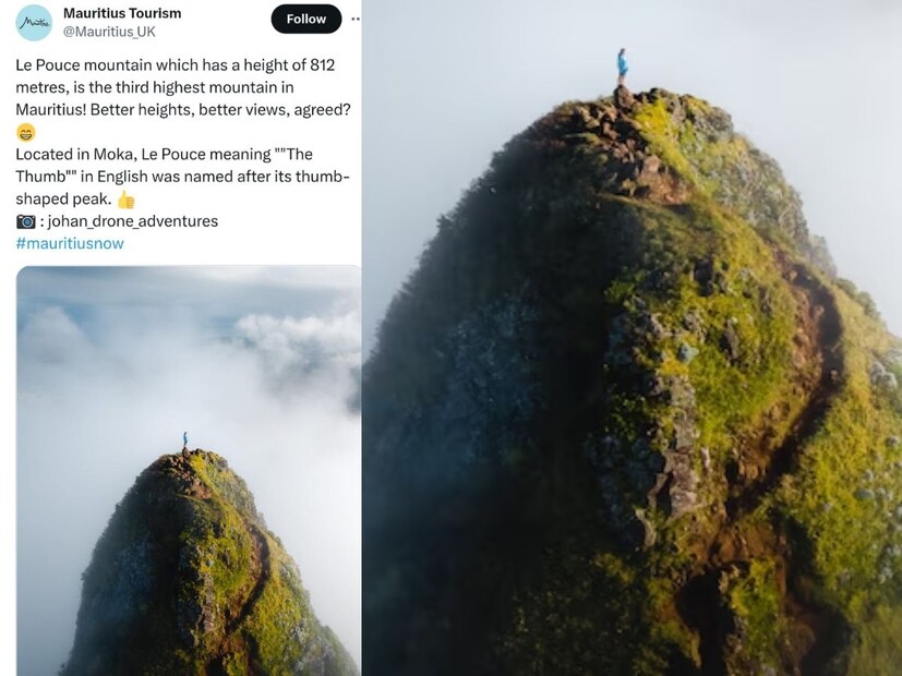 Mauritiusattractions.com-এর প্রতিবেদন অনুযায়ী, প্রাকৃতিক সৌন্দর্যের জন্য ভীষণই বিখ্যাত ল্যে প্যুস। বিরল গাছপালা এখানে পাওয়া যায়। তবে কিছু কিছু গাছ তো শুধু এখানেই মেলে। এই সব বিরল গাছপালার মধ্যে অন্যতম হল Bois Dentelle, Elaeocarpus bojeri এবং Cylindrocline Commersonii।