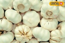 রোজ ১ কোয়া রসুন খান এভাবে, অন্তরঙ্গ সম্পর্কে উঠবে তুফান! উদ্দামতা বাঁধ মানবে না