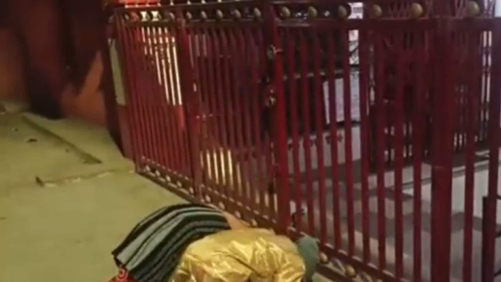 গভীর রাতে মন্দিরে দুই যুবতী, যা কাণ্ড ঘটাল তারা, দেখে হতবাক সকলে