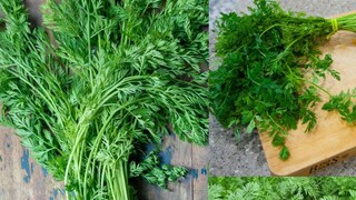 অ্যান্টিঅক্সিড্যান্ট ও ফাইবারে ভরপুর এই শাক নিয়ে আগে ভ্রান্ত ধারণা ছিল