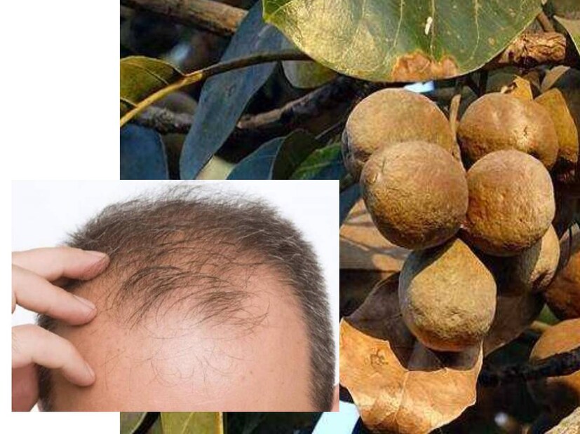 তারপরে ফের বীজগুলিকে ১ থেকে ২ দিন রোদে রাখুন৷ তিনটি বীজ ভাল করে শুকিয়ে গেলে, সেগুলি একে একে পিষে গুঁড়ো করে নিন।
