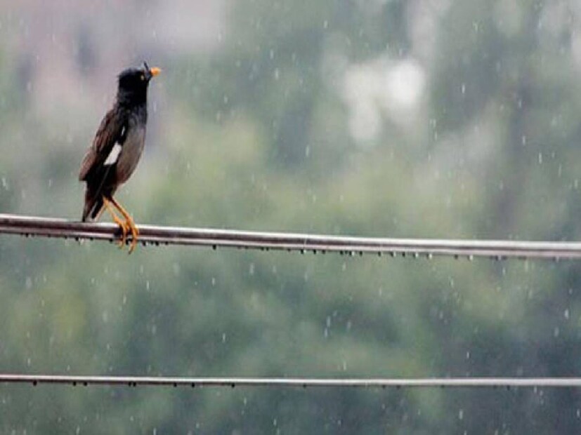 দক্ষিণের কম বেশি সমস্ত জেলাতেই বৃষ্টির সম্ভাবনা থাকলেও প্রবল বৃষ্টির সম্ভাবনা থাকছে কলকাতা, হাওড়া, হুগলি, উত্তর ২৪ পরগনা, দক্ষিণ ২৪ পরগনা, পূর্ব মেদিনীপুর, পশ্চিম মেদিনীপুরে।