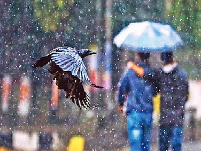 আলিপুর আবহাওয়া দফতর জানাচ্ছে, বৃহস্পতিবারের মতো শুক্রবারও দক্ষিণবঙ্গের একাধিক জেলায় বৃষ্টি হবে৷ শুক্রবার দক্ষিণ ২৪ পরগনা পূর্ব মেদিনীপুরে বৃষ্টির সম্ভাবনা রয়েছে৷ 