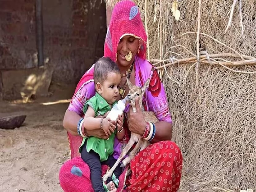 বিষ্ণোই সম্প্রদায়ের প্রায় দু’হাজার বাড়ি রয়েছে। তাঁরা হিন্দু ধর্ম অনুসরণ করেন এবং হিন্দু গুরু শ্রী জম্বেশ্বর ভগবানের শিক্ষা অনুসরণ করেন।