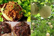 ব্লাড সুগারে কি কদবেলমাখা খাওয়া যায়? জানুন ডায়াবেটিসে কদবেল খেলে কী হয়