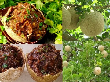 স্বাদের পাশাপাশি টক-ঝাল-মিষ্টি এই ফলের স্বাস্থ্যগুণও প্রচুর