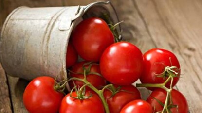 পুষ্টিগুণে ভরা ফল টম্যাটো ব্লাড সুগার নিয়ন্ত্রণ করে পুষ্টিগুণে ভরা ফল টম্যাটো ব্লাড সুগার নিয়ন্ত্রণ করে