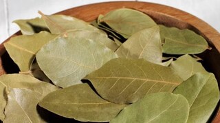 তেজপাতা বাস্তুশাস্ত্রে অত্যন্ত গুরুত্বপূর্ণ