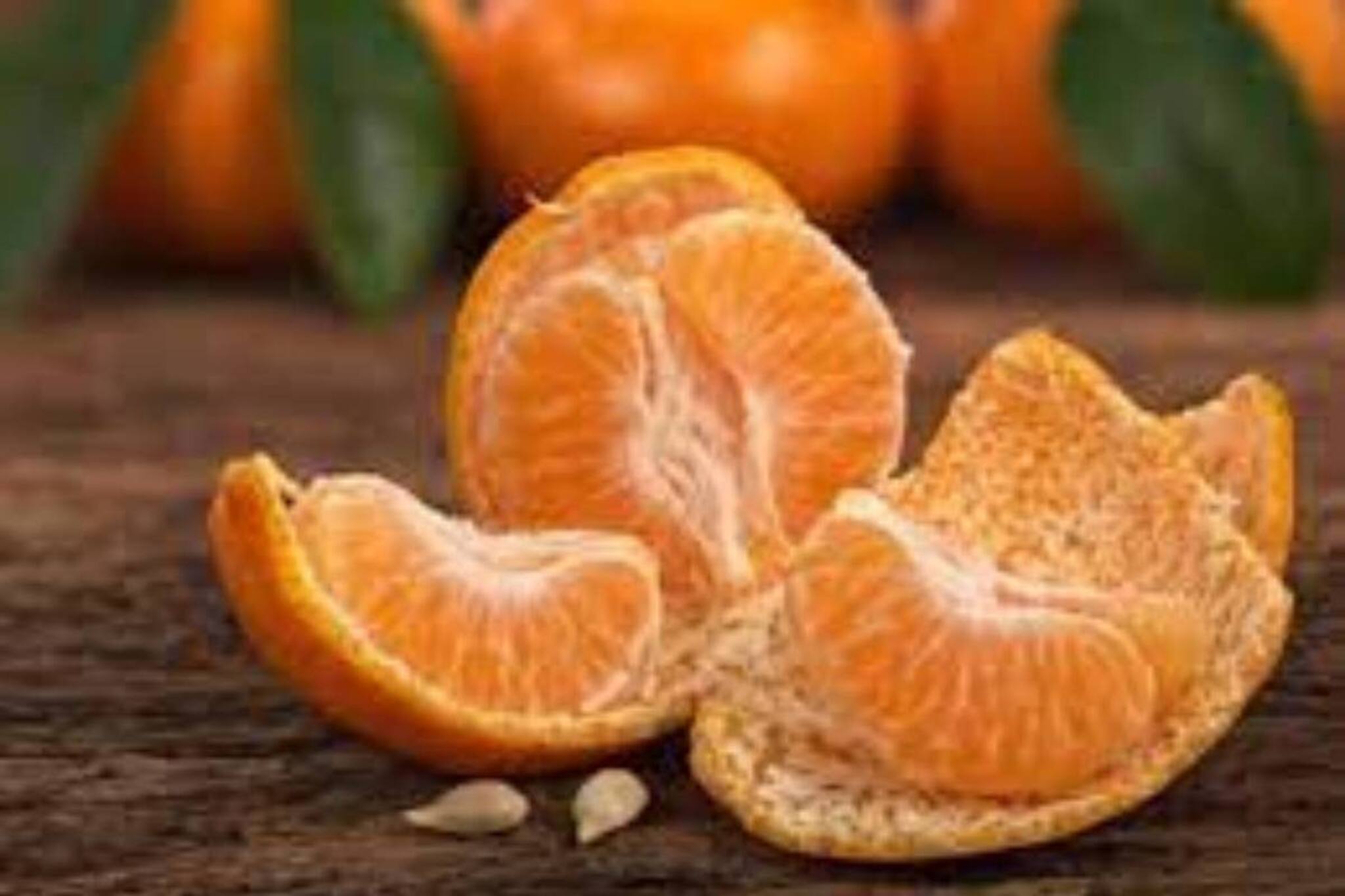 শীতকালে রোজ দেদার কমলালেবু খাচ্ছেন? দেখুন বেশি খেলে কত বড় ক্ষতি হতে পারে শরীরের