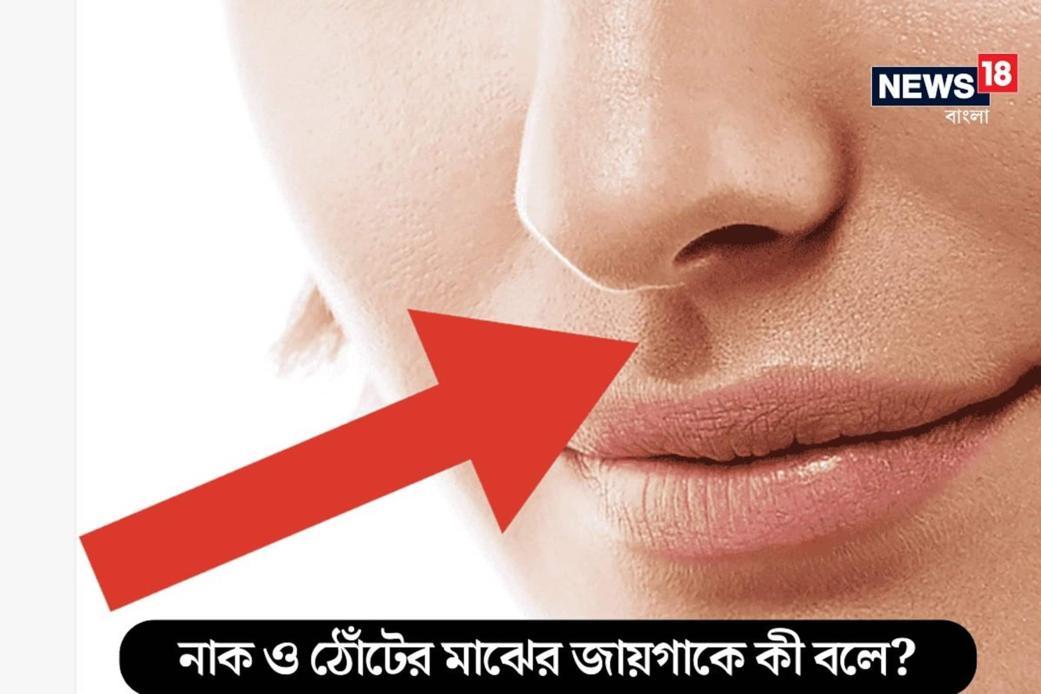 নাক ও ঠোঁটের মাঝের জায়গাকে কী বলা হয়? উত্তর দিতে পারলে আপনি জিনিয়াস