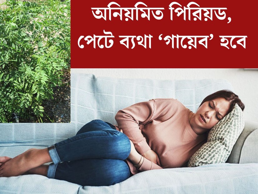 সময়ে পিরিয়ড না হওয়া, পিরিয়ডের সময় পেটে ব‍্যথা। পিরিয়ড বা ঋতুস্রাবকালীন বিভিন্ন সমস‍্যয় এই মুহূর্তে প্রচুর মেয়েরা ভুগছেন। খাওয়াদাওয়ার সমস‍্যা থেকে জীবনযাপনে বদল, একাধিক কারণ রয়েছে ঋতুস্রাবের সমস‍্যার। তবে এই সমস‍্যায় উপকারে আসতে পারে একটি গাছের পাতা।
