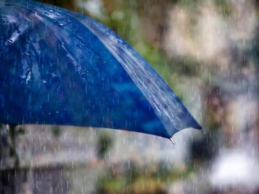 আবহাওয়া বিভাগ জানিয়েছে, &quot;মোটের উপর মেঘলা আকাশ থাকবে রাজধানী দিল্লিতে। সঙ্গে দমকা হাওয়া ও খুব হালকা বৃষ্টি ও বজ্রপাত সতর্কতা থাকছে।