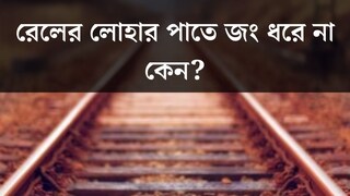 বছরের পর বছরের ধরে রোদ, বৃষ্টি পায়, তাও রেলের লোহার পাতে জং ধরে না কেন? ৯৯% মানুষই জানে না আসল কারণ
বছরের পর বছরের ধরে রোদ, বৃষ্টি পায়, তাও রেলের লোহার পাতে জং ধরে না কেন? ৯৯% মানুষই জানে না আসল কারণ