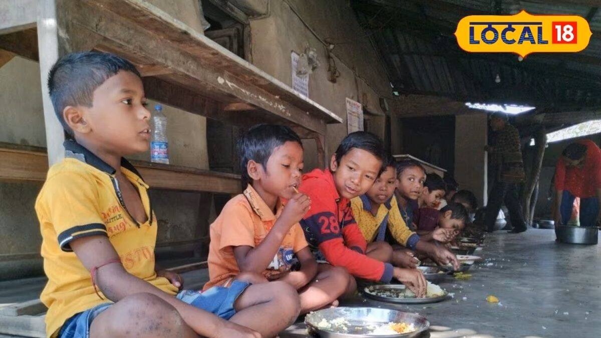 জৈব পদ্ধতিতে চাষ করা ফসল খেয়ে বড় হচ্ছে আদিবাসী শিশুরা | Tribal ...