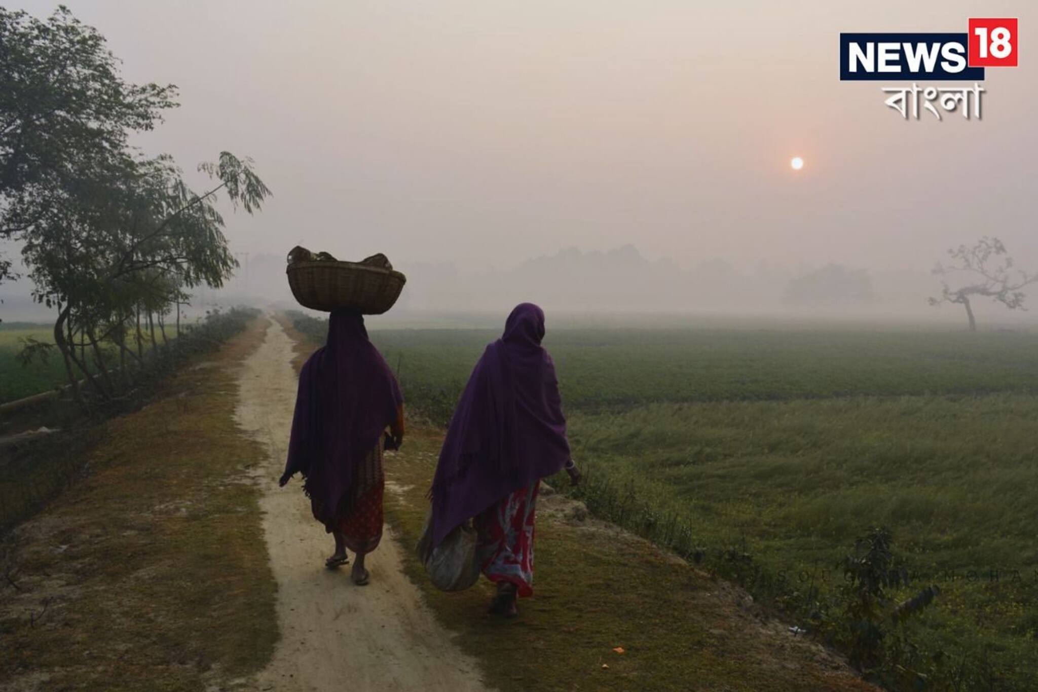 শৈত্যপ্রবাহের সর্তকতা জারি দক্ষিণের এই জেলাগুলিতে, রাতে নামতে পারে  আরও পারদ!