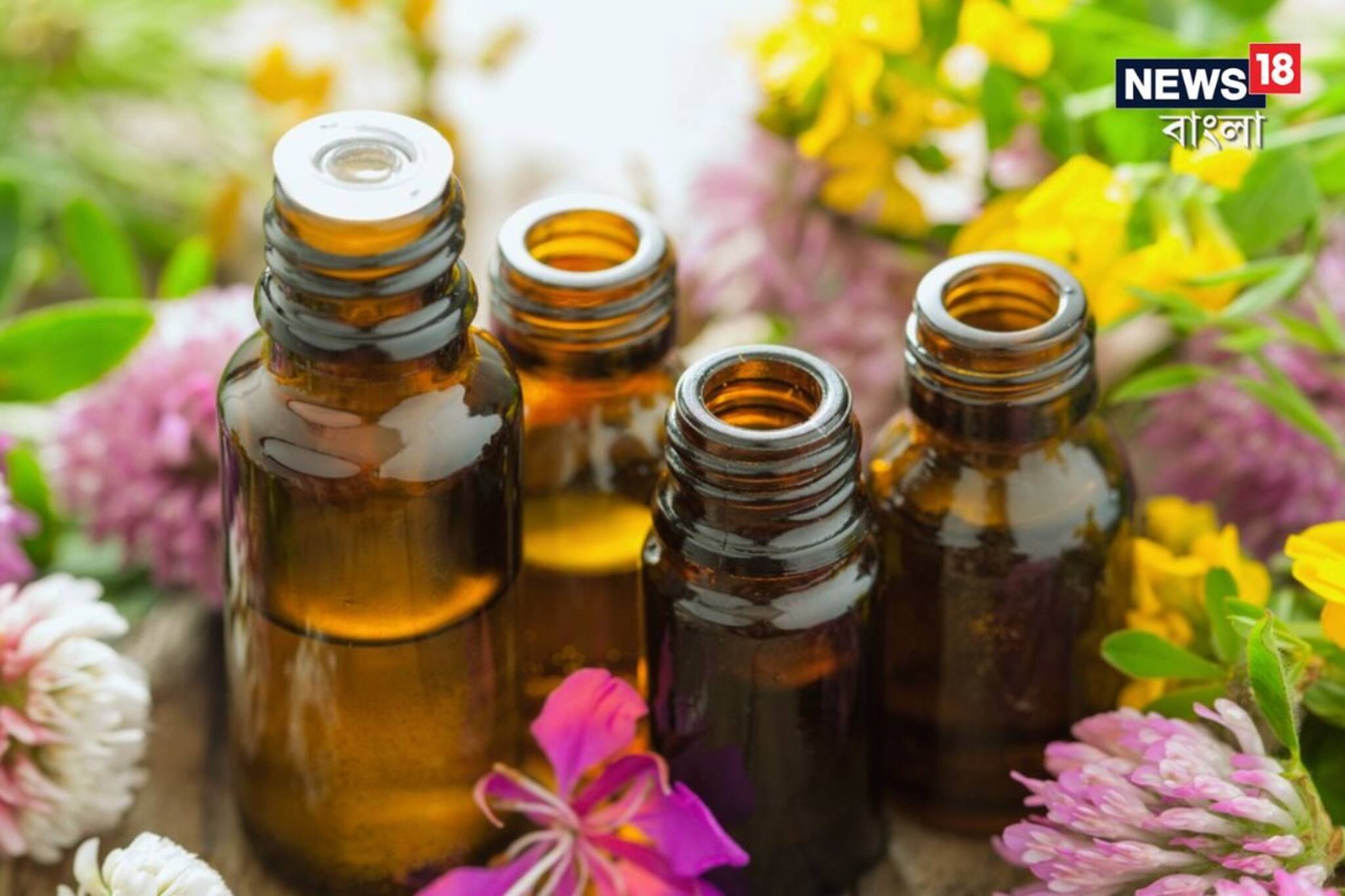 ত্বকের যত্নে ভরসা রাখুন সস্তার ‘এই’ তেলের ম্যাজিকে! ফুরফুরে থাকবে ত্বক