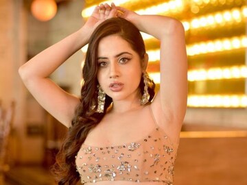 চমকে দেওয়া খবর! জনপ্রিয় বাঙালি পরিচালকের হাত ধরে সিনেমায় নামছেন উরফি জাভেদ!
