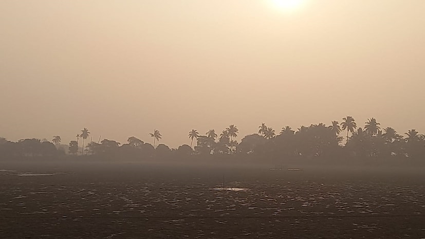 আজ, মঙ্গলবার সকালে হালকা কুয়াশা, পরে আংশিক মেঘলা আকাশ। শীতের আমেজ থাকলেও জাঁকিয়ে শীতের সম্ভাবনা আর নেই। পশ্চিমের জেলাগুলিতে শীতের প্রভাব একটু বেশি থাকবে। 