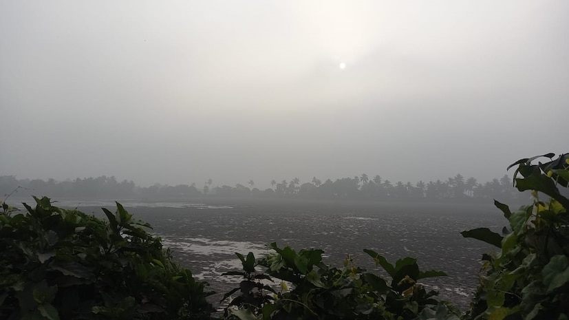 কলকাতায় আজ, মঙ্গলবার সর্বনিম্ন তাপমাত্রা ১৬ ডিগ্রি সেলসিয়াস। যা স্বাভাবিক তাপমাত্রার থেকে ১ ডিগ্রি সেলসিয়াস বেশি। গতকাল, সোমবার সর্বোচ্চ তাপমাত্রা ছিল ২৫.৪ ডিগ্রি সেলসিয়াস। স্বাভাবিক তাপমাত্রার থেকে যা ১ ডিগ্রি সেলসিয়াস নীচে। বাতাসে জলীয় বাষ্পের সর্বোচ্চ পরিমাণ ৩২ থেকে ৯২ শতাংশ। আগামী ২৪ ঘণ্টায় কলকাতা শহরে তাপমাত্রা থাকবে ১৬ থেকে ২৫ ডিগ্রি সেলসিয়াসের মধ্যে।