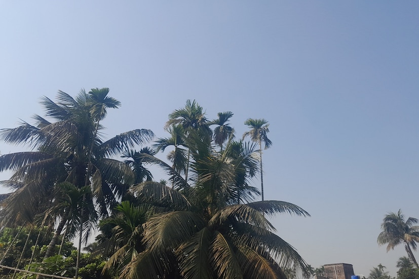 *ইসলামপুর: কুয়াশাচ্ছন্ন সকাল। মাঘের ঠান্ডায় জবুথবু সকলে। তাপমাত্রা ১১-১২ ডিগ্রি। ফাইল ছবি। 