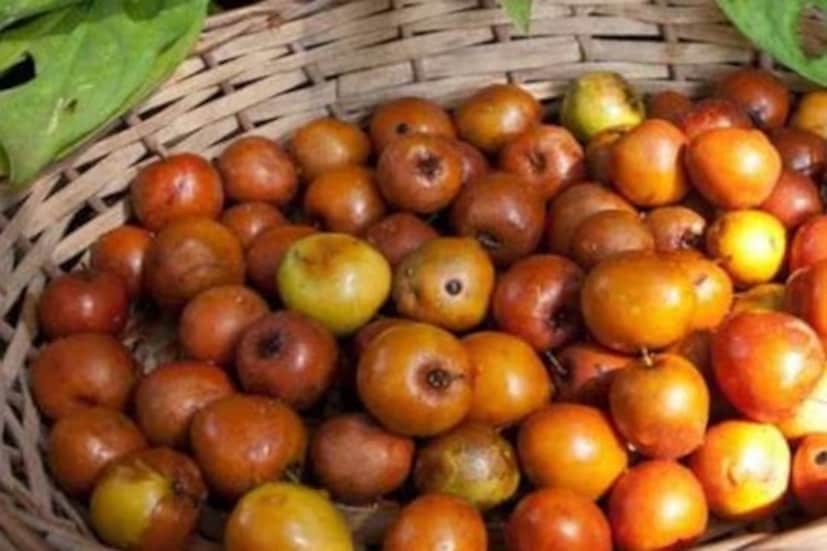 কুলে প্রচুর পরিমাণে ভিটামিন সি পাওয়া যায়। ভিটামিন সি আমাদের রোগ প্রতিরোধ ক্ষমতা বাড়ায়। শ্বেত রক্তকণিকা উৎপাদনে বড় ভূমিকা পালন করে ভিটামিন সি। শ্বেত রক্তকণিকা সংক্রমণের বিরুদ্ধে লড়াই করতে সাহায্য করে।