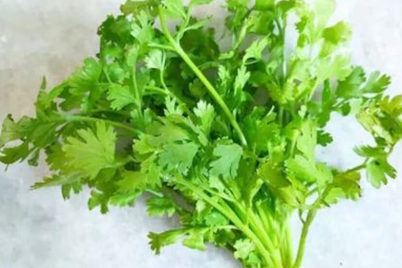 বাজার থেকে কিনে আনা ধনেপাতা কিছু দিন পর শুকিয়ে যেতে থাকে৷ ঠিকমতো রাখলে অনেক দিন পর্যন্ত তাজা থাকে সুস্বাদু এই পাতা৷ জেনে নিন কীভাবে ধনেপাতা দীর্ঘ দিন সতেজ রাখা যায়৷