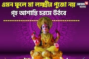 মা লক্ষ্মীর পুজো এমন ফুলে নয়, অর্থ কষ্টে জেরবার হবে ঘর, দাম্পত্য সুখ উড়ে যাবে