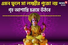 মা লক্ষ্মীর পুজো এমন ফুলে নয়, অর্থ কষ্টে জেরবার হবে ঘর, দাম্পত্য সুখ উড়ে যাবে