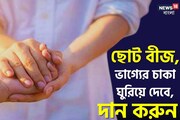 ছোট্ট বীজের বড় মাহাত্ম্য!মাঘ মাসে দান করলে সুখে আসবে হুহু করে,ভাগ্যে ব্যাপক বদল