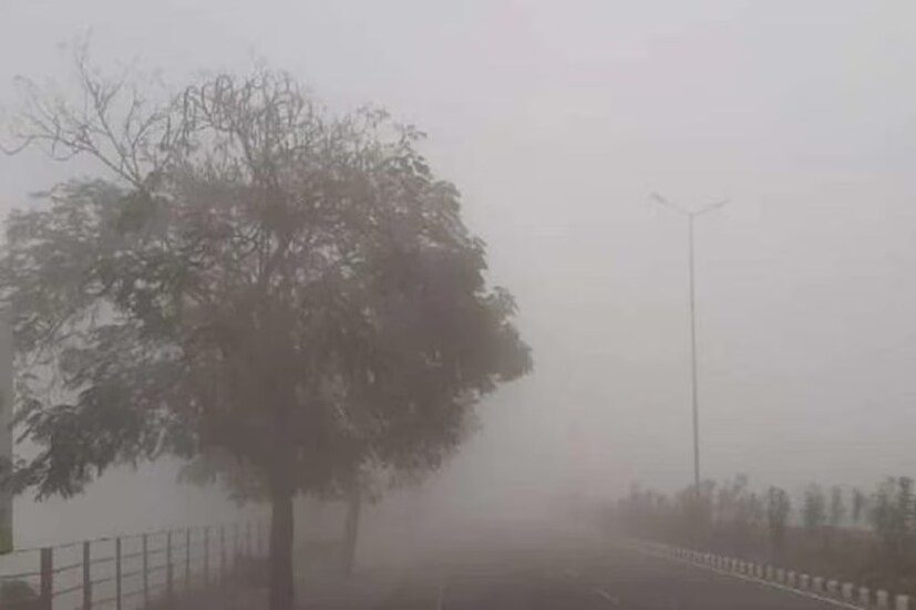 কুয়াশামুক্ত কলকাতায় সোমবার থেকে নেমেছে পারদও। তাপমাত্রা আরও নামবে বলে ধারণা আবহবিদদের।