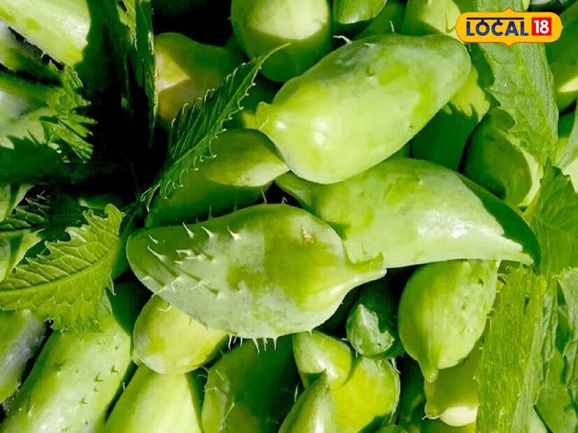 শাকসবজির গুণাগুণের কথা তো সকলেরই জানা। কারণ শাকসবজি একাধিক উপযোগী উপাদানে ভরপুর। কিছু সবজি আবার শরীরের জন্য খুবই উপকারী। আর ভিন্ন ভিন্ন সবজির উপকারও ভিন্ন ভিন্ন হয়। তাই শরীর সুস্থ আর সতেজ রাখার জন্য পাতে রাখতে হবে সবজি। আজকের প্রতিবেদনে আমরা পাঁচ ধরনের সবজির কথা বলব, যার উপকারিতা গুনে গুনে শেষ করা যায় না।
