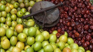 কুল খাওয়ার উপকারিতা