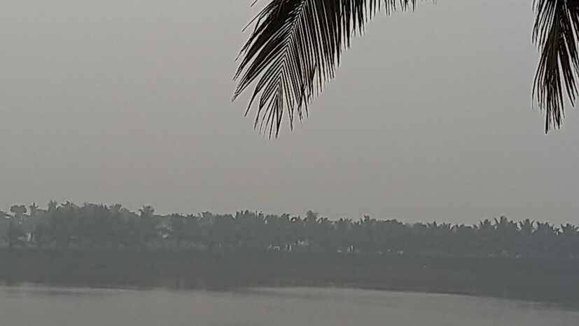 পূবালী হাওয়ার প্রভাব বাড়বে। বুধ ও বৃহস্পতিবার মেঘলা আকাশ এবং বৃষ্টির সম্ভাবনা বাড়বে। বৃষ্টির সম্ভাবনা বেশি নদিয়া, উত্তর এবং দক্ষিণ ২৪ পরগনায়। কলকাতাতেও বৃষ্টির সম্ভাবনা রয়েছে। হালকা থেকে মাঝারি বৃষ্টি হতে পারে। 