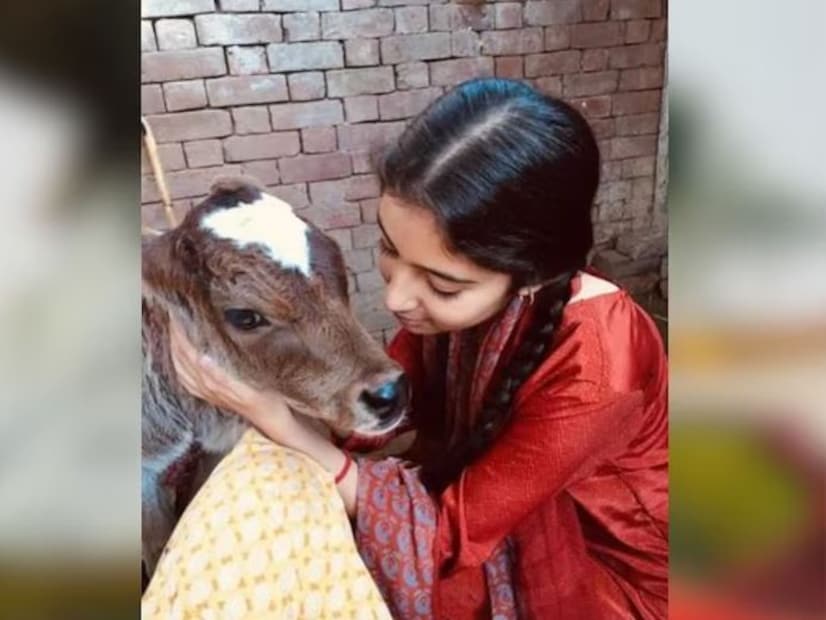 এর পরে, সারা অর্জুন সালমান খানের জয় হো, ইমরান হাশমির এক থি ডায়েন, ঐশ্বর্য রাইয়ের জাজবা ছবিতে কাজ করেন৷ 