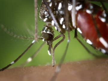 প্রতীকী চিত্র