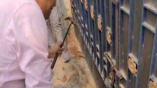 ফাইল ছবি ফাইল ছবি