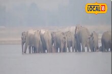 ডুয়ার্সে একী ঘটছে! কারণ জানলে চমকে ‌যাবেন