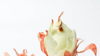 onion peel onion peel